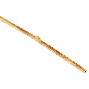 Tonkin-Bambusstab 120 cm 10 Stück