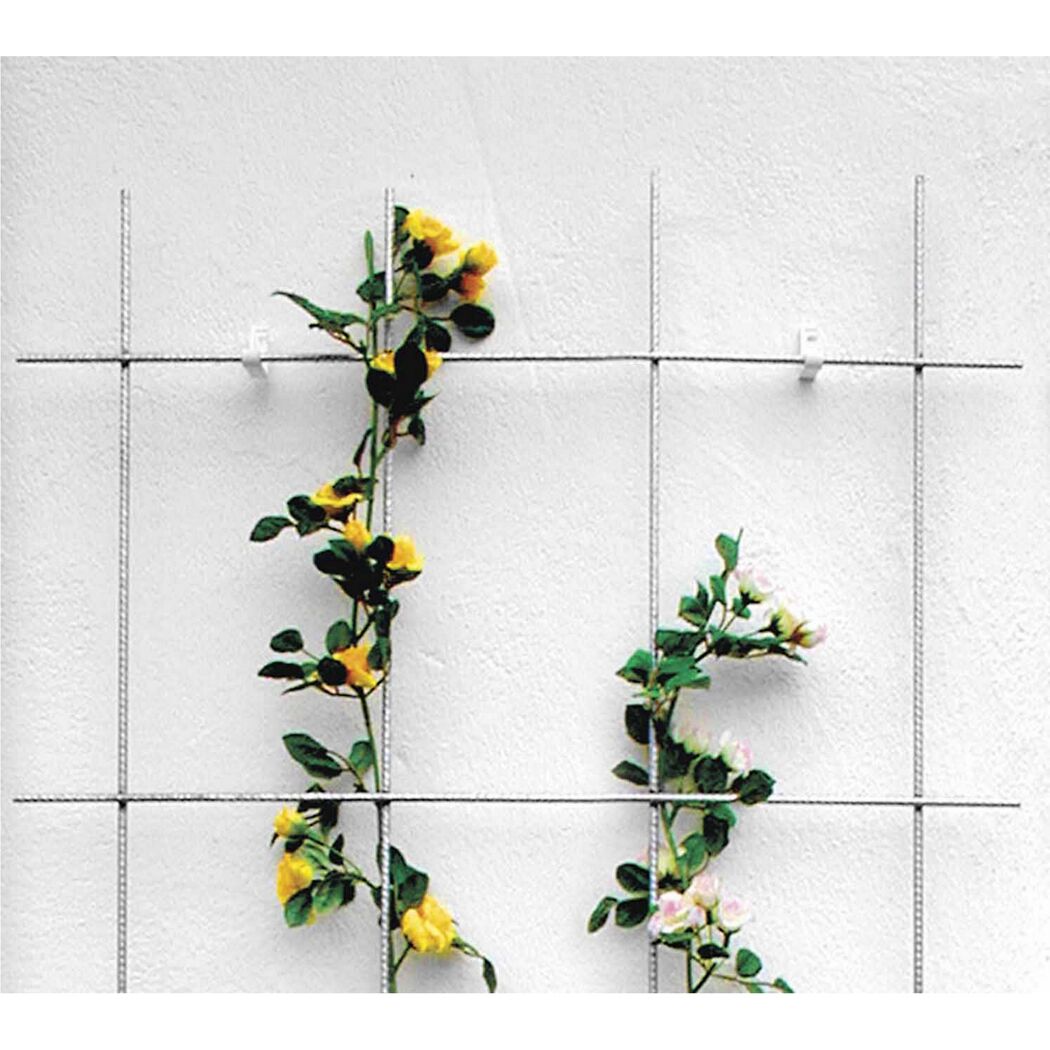 Rankhilfe mit gelben und weißen Rosen