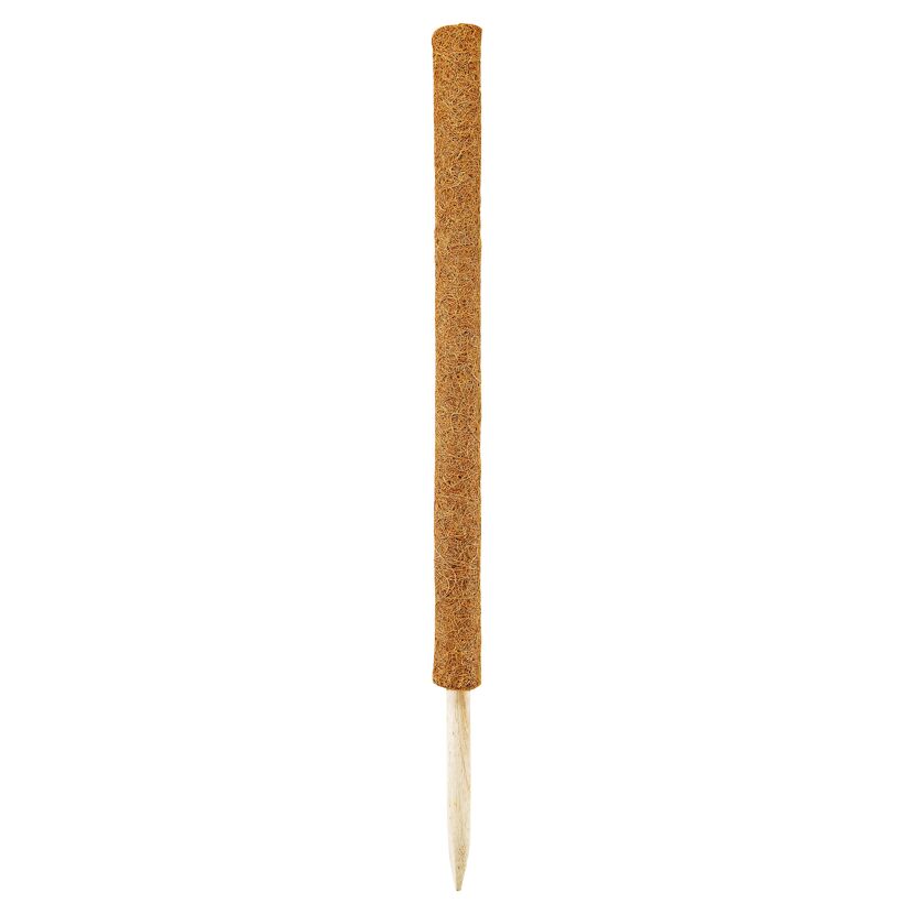 Kokosstab 60 cm