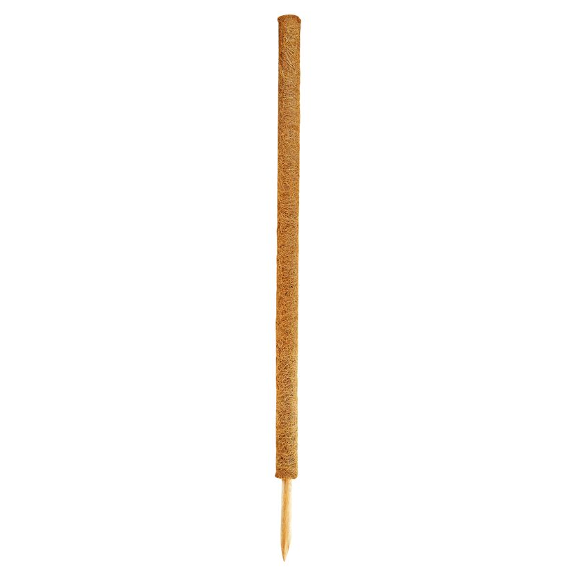Kokosstab 60 cm