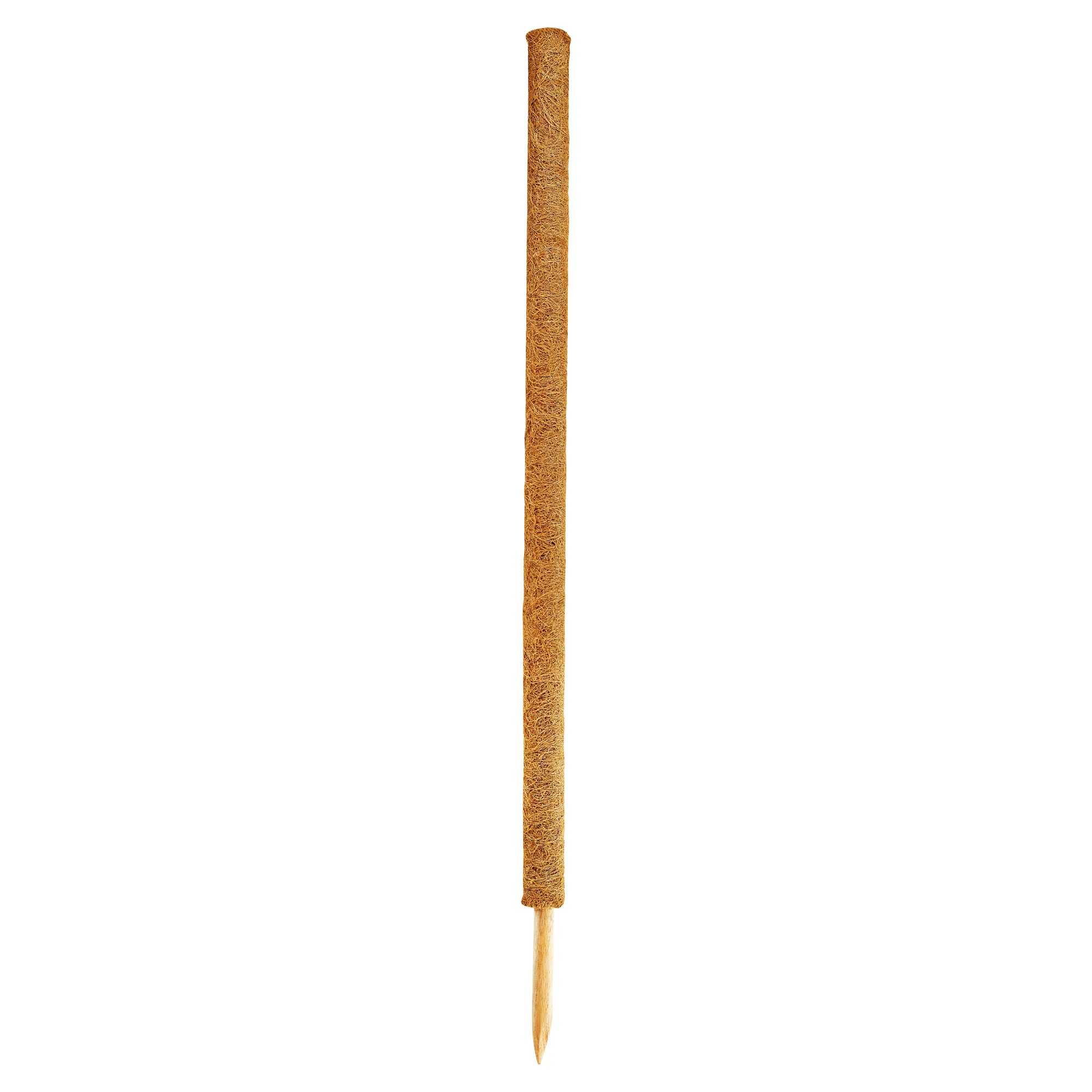 Kokosstab 60 cm