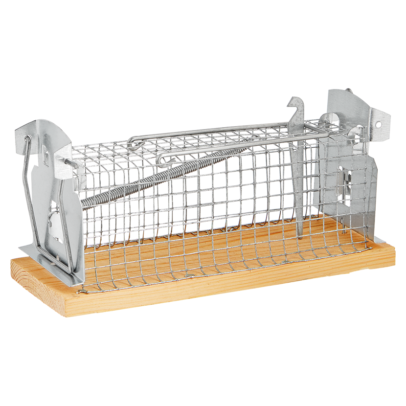 Lebendfalle für Mäuse