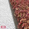 Weiße Steine und rote Pflanzen neben Rasenkante