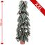 Cissus Discolor, 150 cm hoch