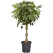 hauptbild