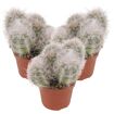 hauptbild