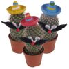 Drei Kakteen mit Sombreros, Augen und Schnurrbärten