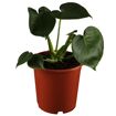 hauptbild