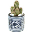 Verkleinertes Bild von Kaktus in Boho Betongefäß 7 cm