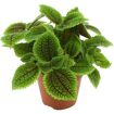 hauptbild