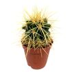 hauptbild