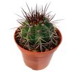 hauptbild