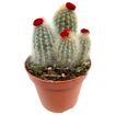 hauptbild