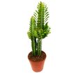 hauptbild