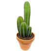 hauptbild