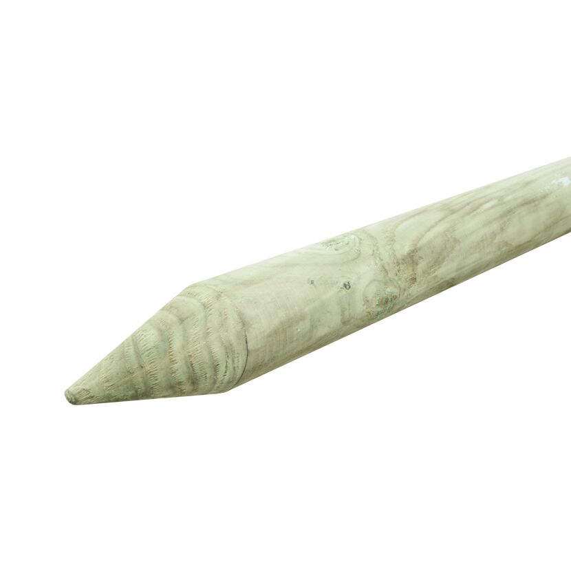 Grüner, angespitzter Zaunpfosten aus Holz.