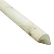 hauptbild