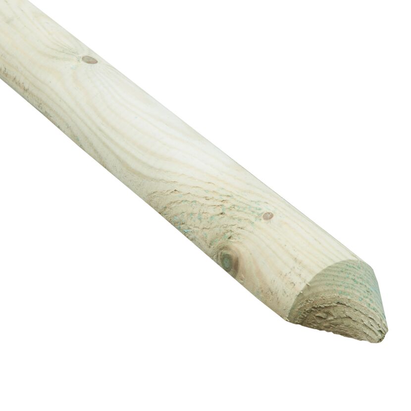 Grüne Holzlatte, spitz