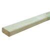 Grünes Allwetterholz 2400 x 145 x 28 mm