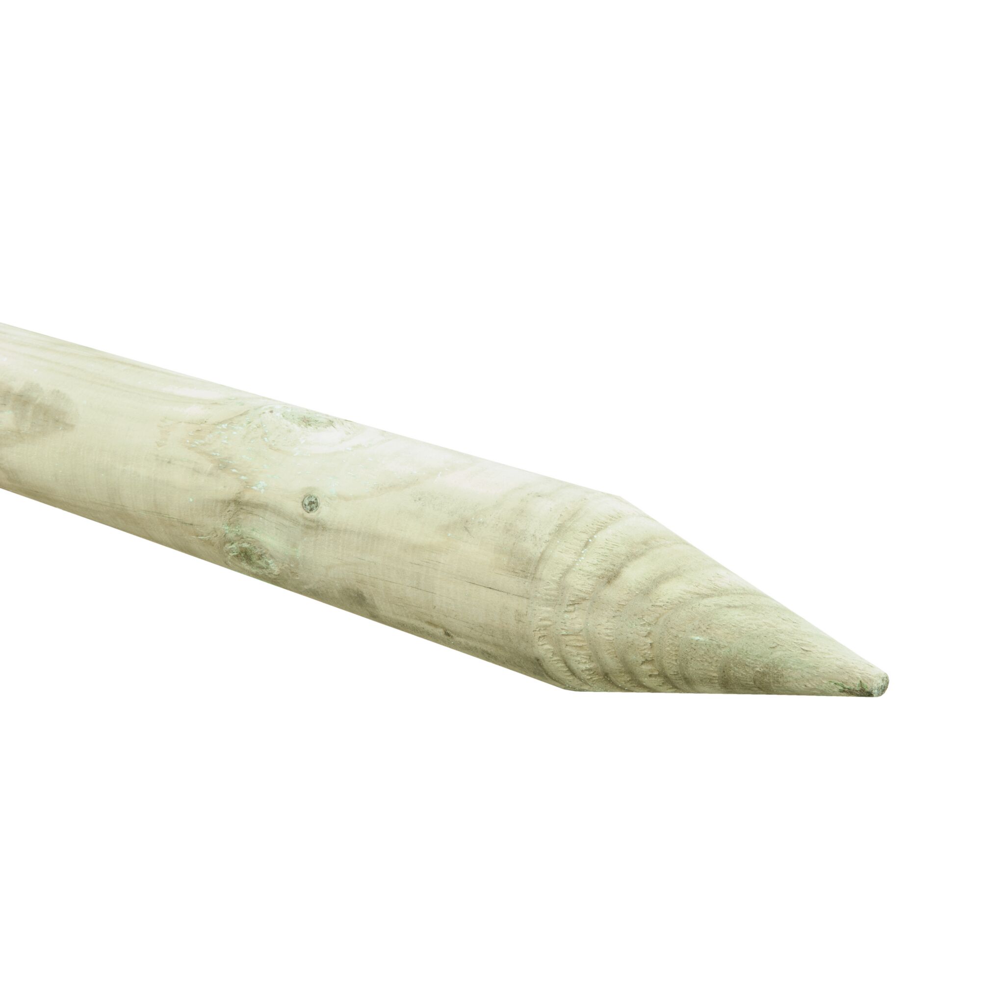 Angespitzter Baumpfahl