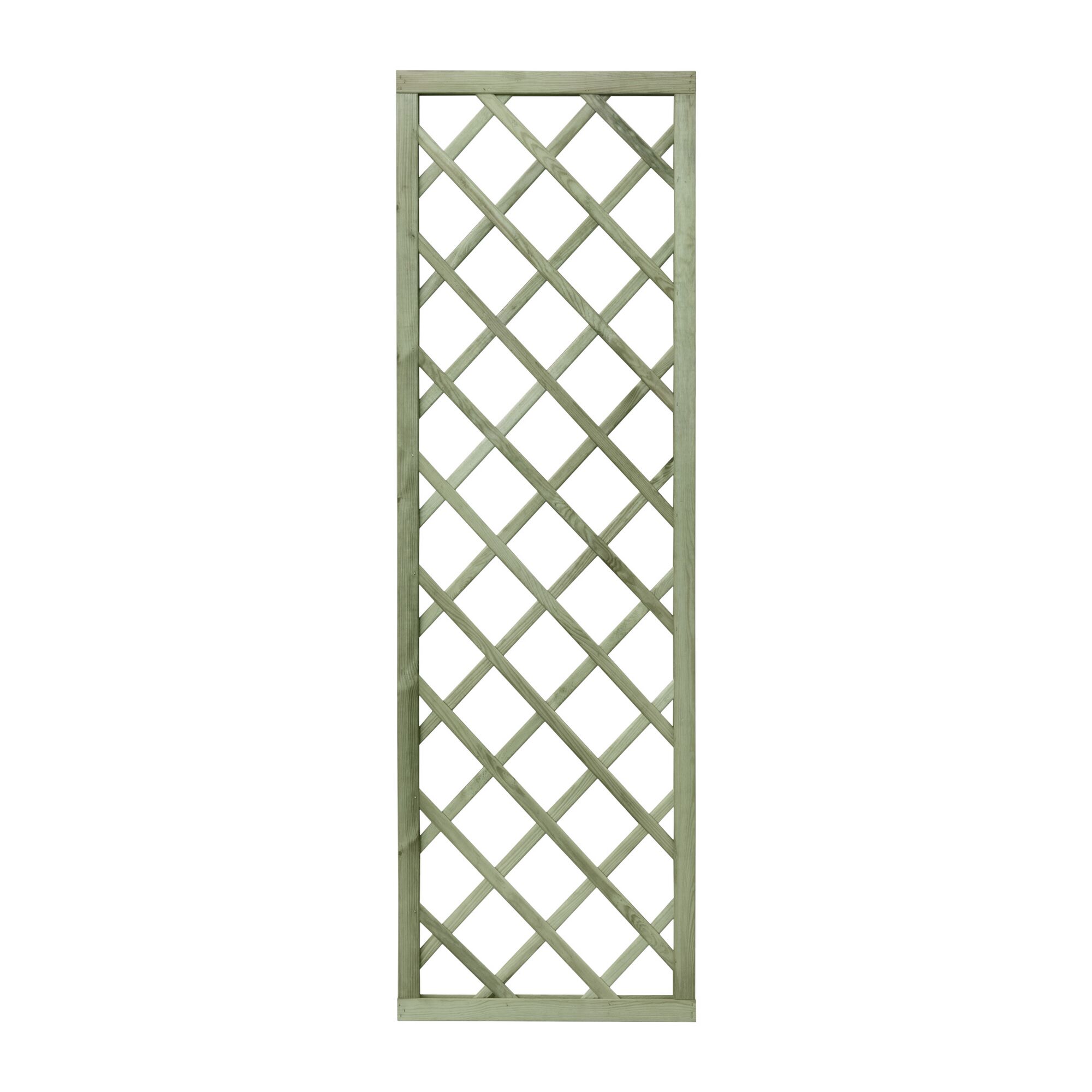 Rankgitter diagonal grün