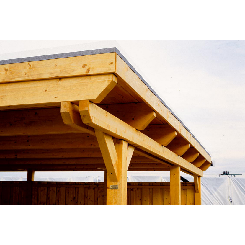 Pavillon Emsland mit Alu-Dach
