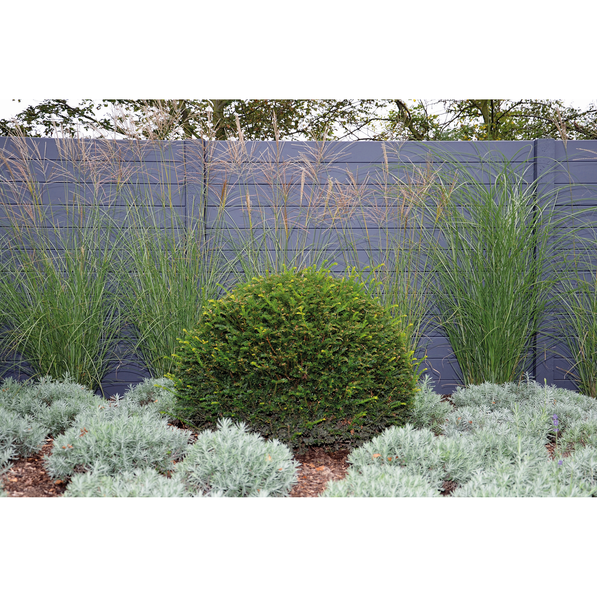 Betonzaunplatte 'Standard Prestige' glatt 200 x 38,5 x 3,5 cm grau