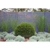 Betonzaunplatte 'Standard Prestige' glatt 200 x 38,5 x 3,5 cm grau