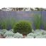 Betonzaunplatte 'Standard Prestige' glatt 200 x 38,5 x 3,5 cm grau