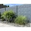 Betonzaunplatte 'Standard Casa Borsika' 200 x 38,5 x 3,5 cm grau