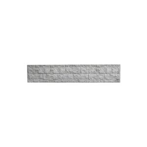Betonzaunplatte 'Standard Casa Borsika' 200 x 38,5 x 3,5 cm grau