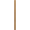 hauptbild