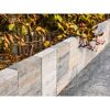 Palisade 'T-Fence Solid' Beton muschelkalkfarben 15 x 30 x 4,5 cm