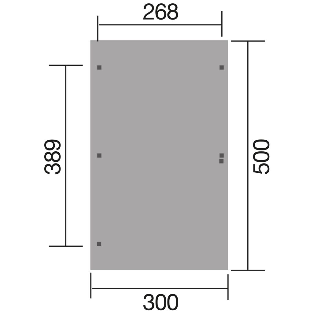 Carport 300 x 500 cm