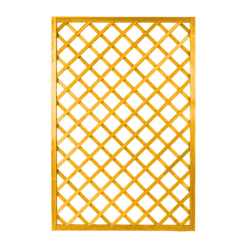 Rankgitter Nancy 180x120 Pinie