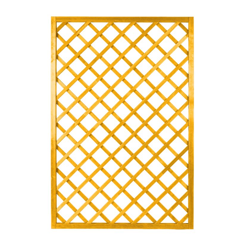 Rankgitter Nancy 180x120 Pinie