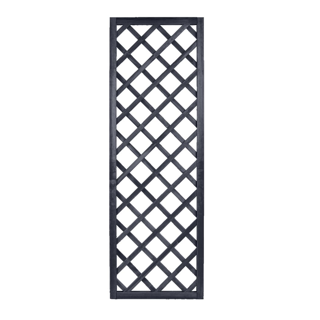 Rankgitter Nancy 180x60 cm anthrazit