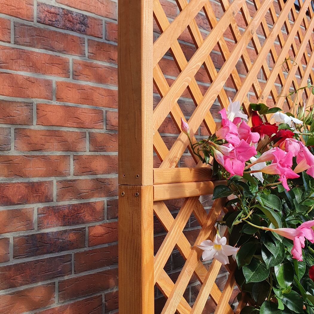 Rankgitter aus Holz mit Blumen