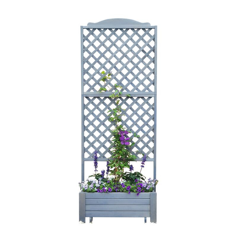 Grauer Rankkasten mit lila Blumen
