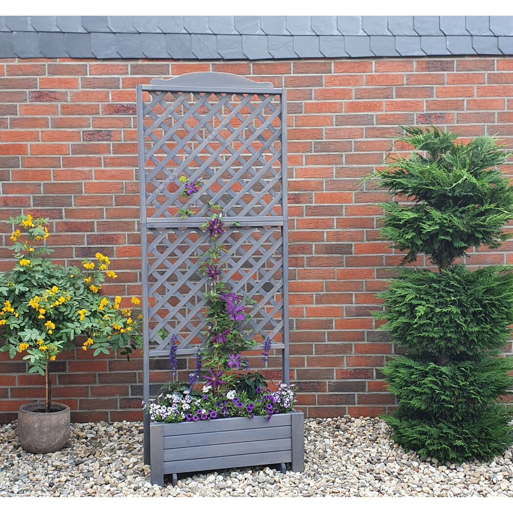 Grauer Rankkasten mit Blumen
