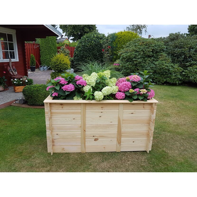 Hortensien in einem Hochbeet aus Holz