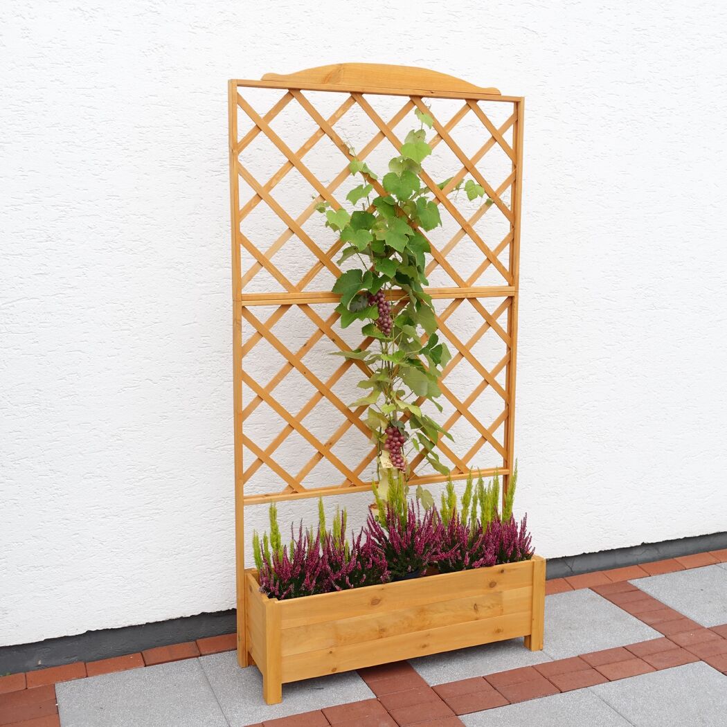 Holz-Rankgitter mit Weintrauben und Blumenkasten