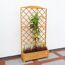 Holz-Rankgitter mit Weintrauben und Blumenkasten