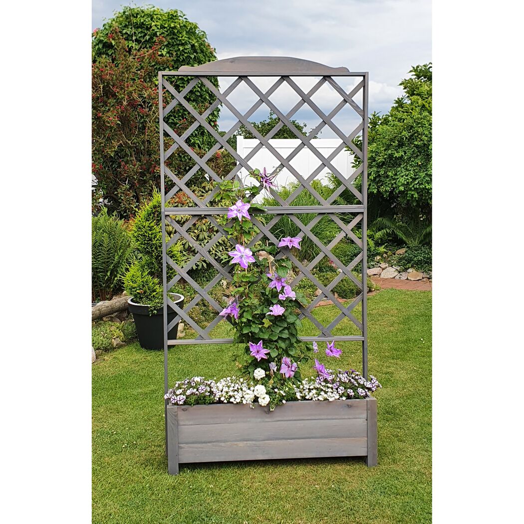 Grauer Rankkasten mit Rankgitter und Blumen