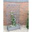 Grauer Rankkasten mit Rankgitter und Blumen