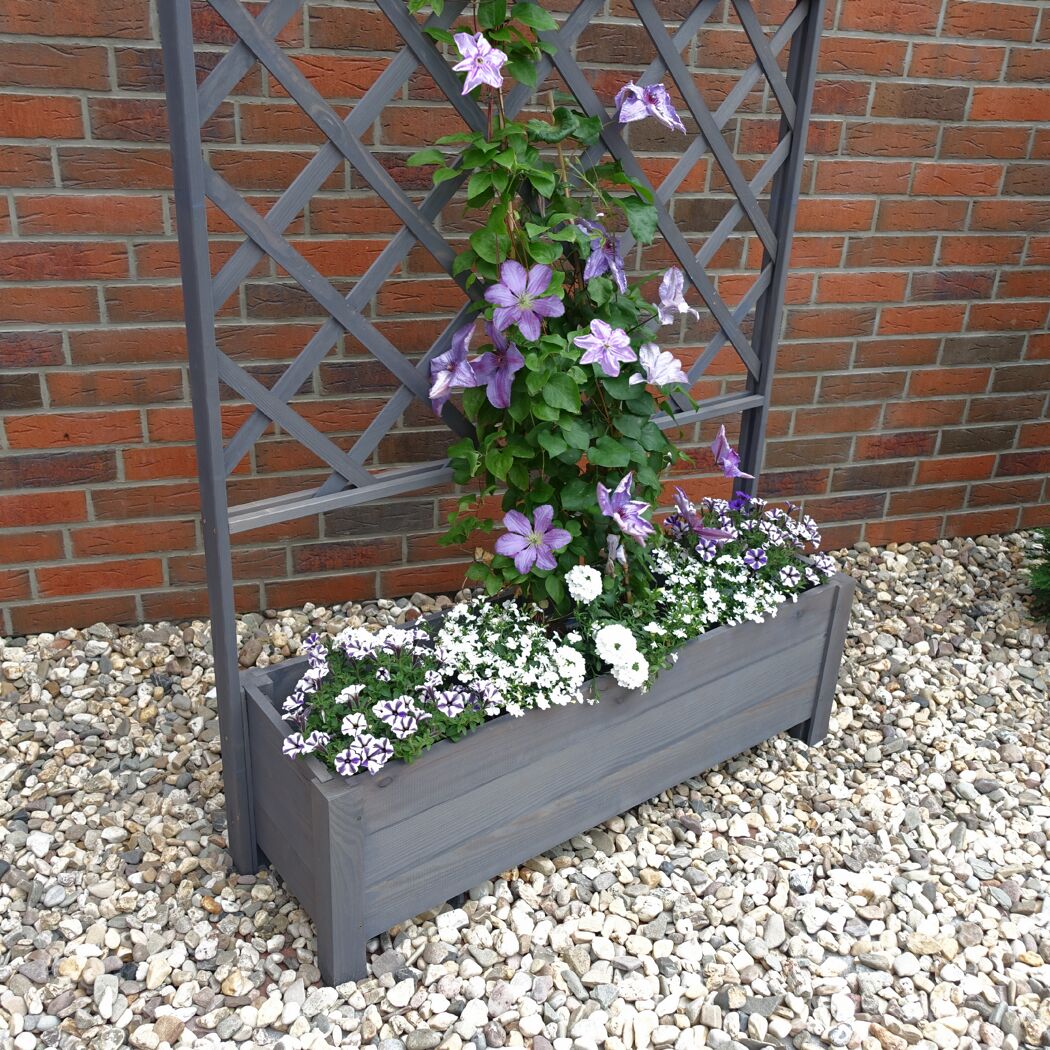 Blumenkasten mit Rankgitter an Ziegelwand