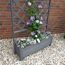 Blumenkasten mit Rankgitter an Ziegelwand