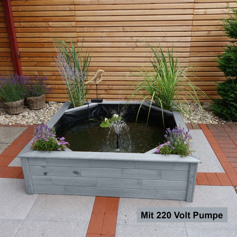 Grauer Holzteich mit Pumpe und Pflanzen