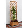 Rankgitter aus Holz mit Weinreben und Blumen