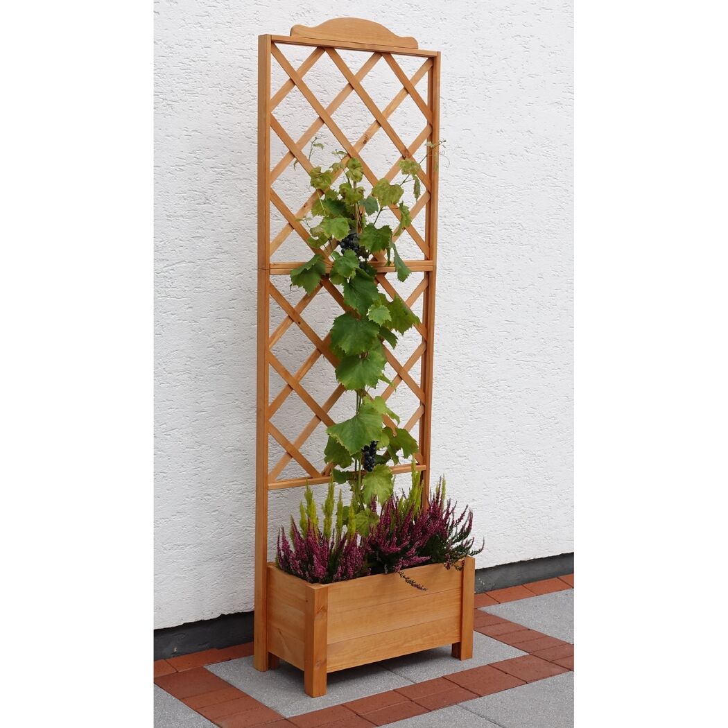 Rankgitter aus Holz mit Weinreben und Blumen